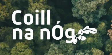 The image shows a background full of trees. The text reads "Coill na nÓg".
